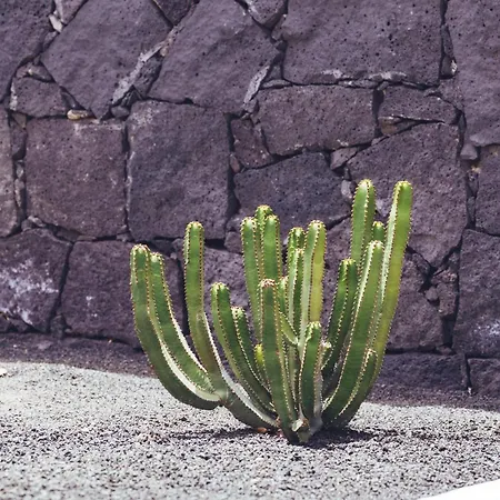 Turquesa * Playa Blanca (Lanzarote)